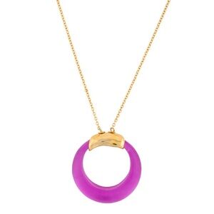Alexis Bittar Pink Lucite Horseshoe pendant Necklace